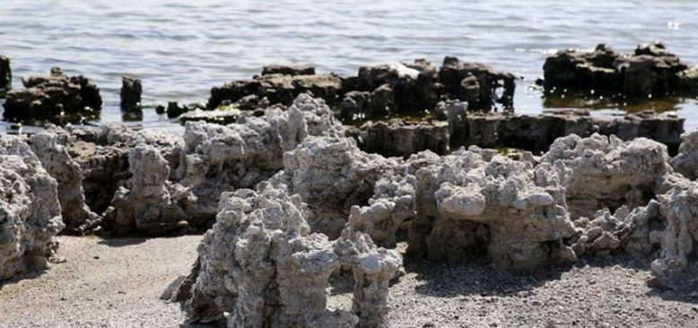 Van Gölü kıyısındaki mikrobiyalitler turizmde yeni rota oluşturabilir