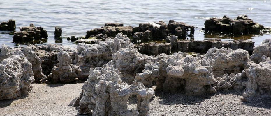 Van Gölü kıyısındaki mikrobiyalitler turizmde yeni rota oluşturabilir