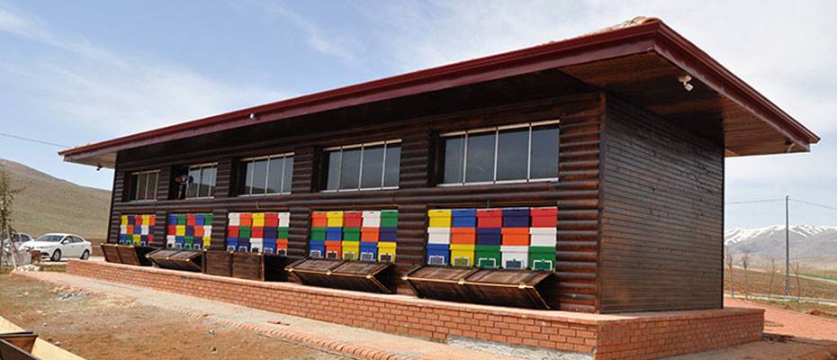 Lavanta tarlasına kurulan Arı evi, rengarenk kovanlarıyla ilgi çekiyor