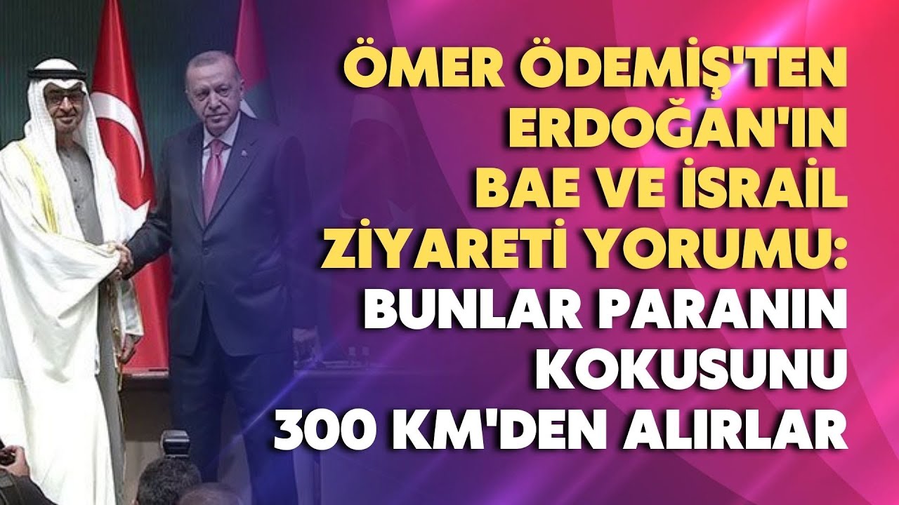 Bunlar paranın kokusunu 300 km’den alırlar