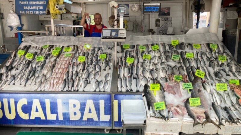 Balık Avcılığı Azaldı Fiyatlar Yükseldi