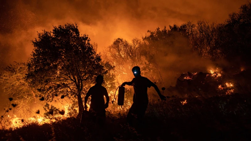 Marmaris’te Orman Yangını 