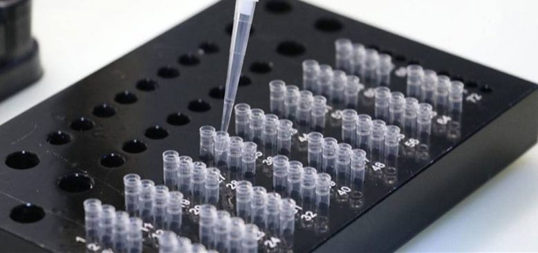 THY'den 'PCR test raporu' açıklaması