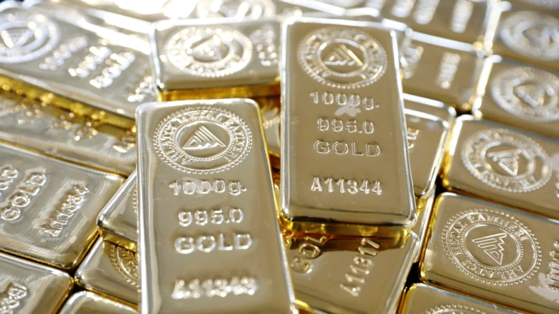 Venezuela Altını Türk Ekonomisinde mi Kullanılacak?