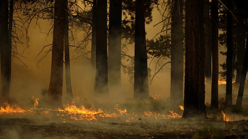 Orman yangını nedeniyle 2 yerleşim birimi tahliye edilecek