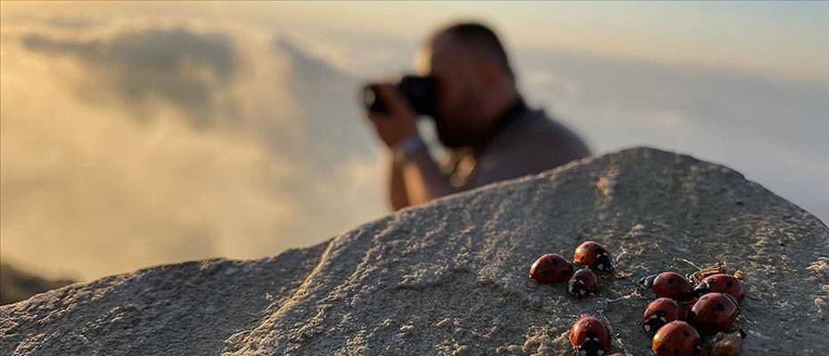 Bulutların üstündeki tepe uğur böceği meraklılarını ağırlıyor