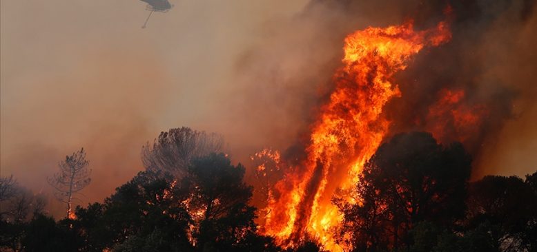 İtalya'da birçok noktada çıkan orman yangınları hayatı felç etti
