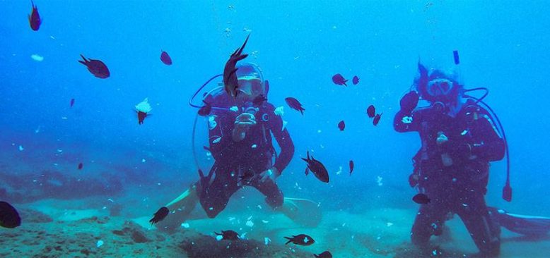 Mersin'in mavi suları dalış turizminde de öne çıkıyor