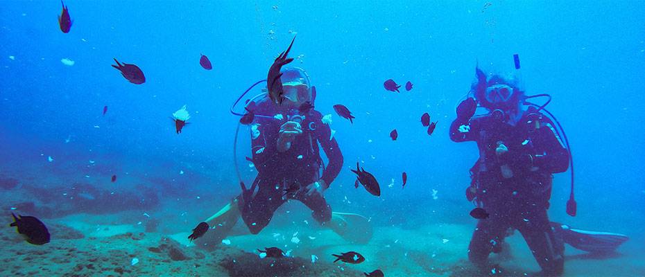 Mersin’in mavi suları dalış turizminde de öne çıkıyor