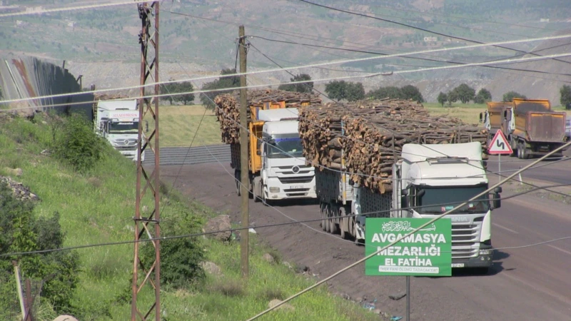 Şırnak’ta Ağaç Kesimi Tepkisi