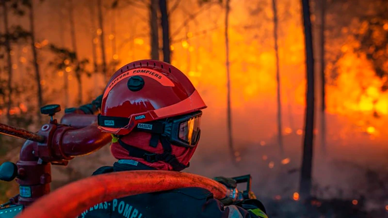 Avrupa’daki Orman Yangınları Rekor Alanı Kül Etti