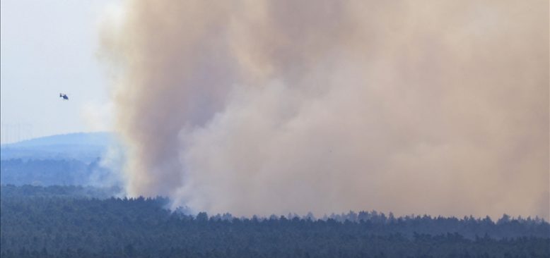Almanya’da Harz Dağları'nda orman yangını çıktı