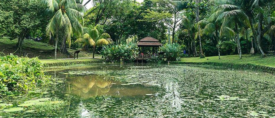 Kuala Lumpur’un kalbindeki yaşam parkı: Perdana Botanik Bahçeleri