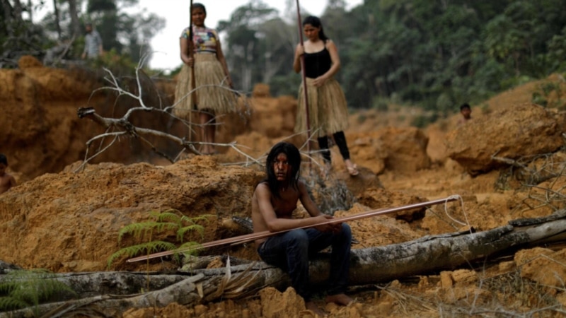 Latin Amerika’da Haftada 3 Çevreci Öldürülüyor
