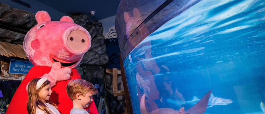 Peppa Pig, Türkiye’de İlk Defa SEA LIFE İstanbul’da