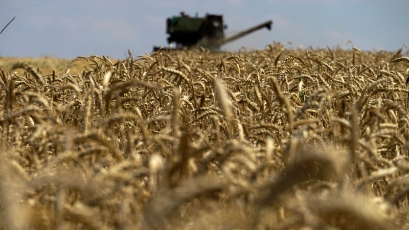 "Gıda Krizini Önlemede Tahıl Girişimin Rolü Kritik"
