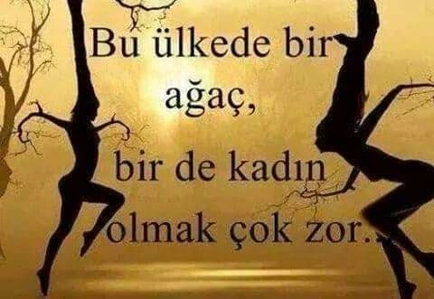 BİR ÜLKEDE BİR KADIN VE BİR AĞAÇ OLMAK!