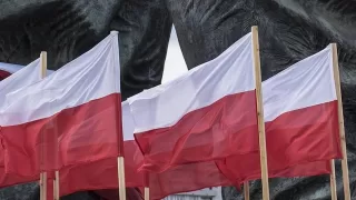 Polonya, Almanya'yı 