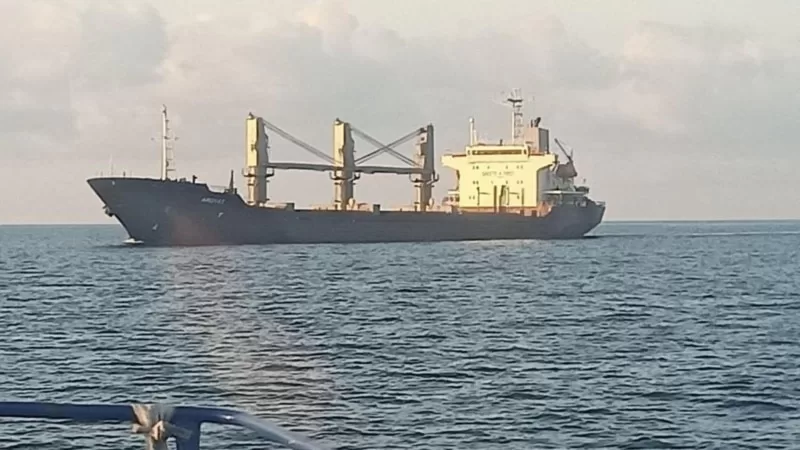 Ukrayna’dan tahıl taşıyan ilk büyük yük gemisi Karadeniz limanından yola çıktı