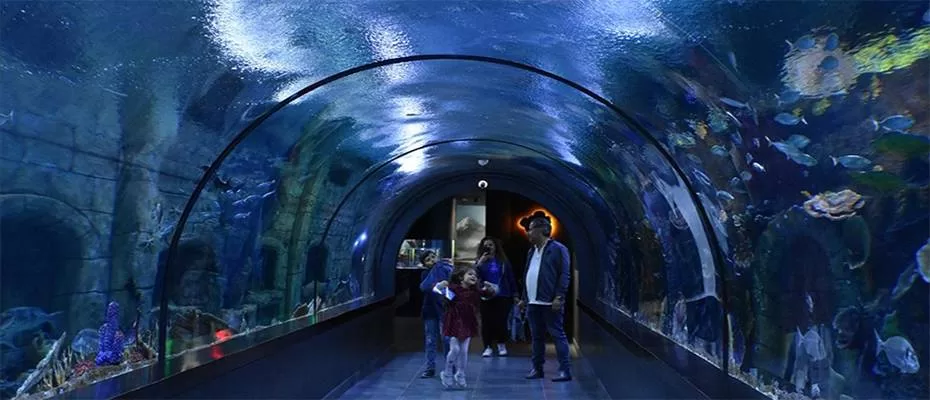 Trabzon’daki Tünel Akvaryum 16 ayda 446 bini aşkın ziyaretçiyi ağırladı