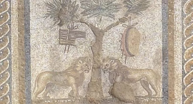 Düzce’de antik kentte aslanlı mozaik bulundu