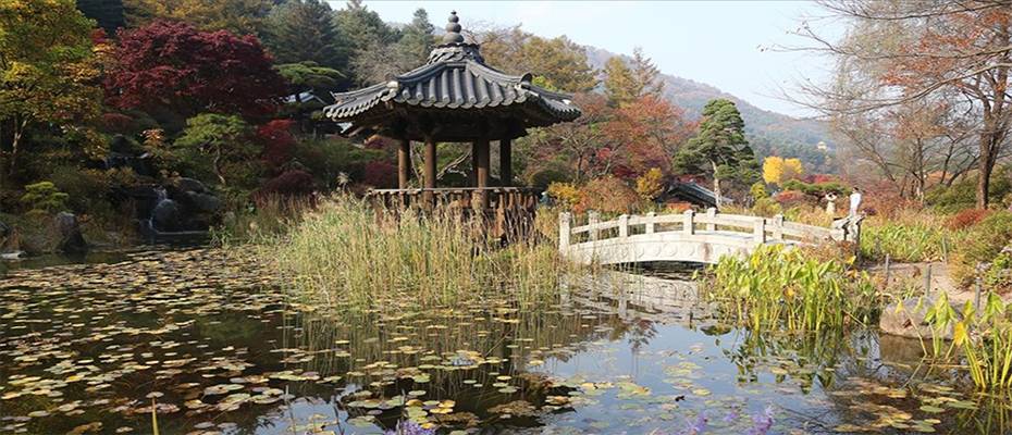 Güney Kore parkları sonbaharda yüz binlerce turisti ağırlıyor