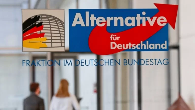 AfD, Avrupa Parlamentosunda yeni bir aşırı sağ grup kurmayı planlıyor