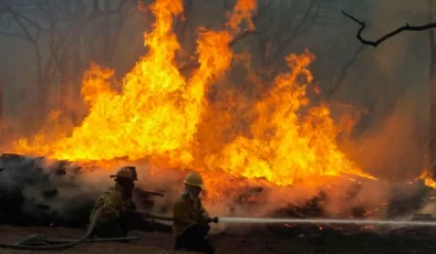 Teksas’ta başlayan orman yangını hızla büyüyor