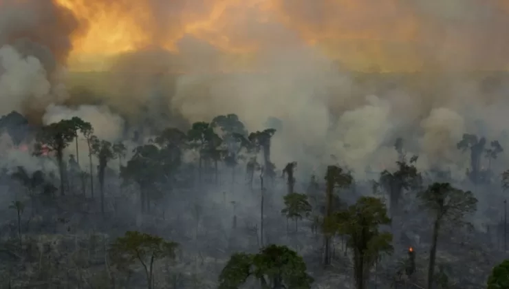 Venezuela’da orman yangınları karbon salınımını zirve noktaya ulaştırdı