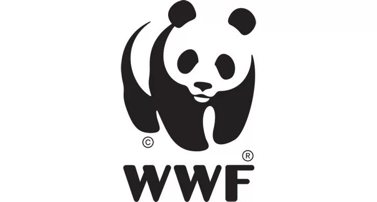 WWF-Türkiye’den iklim dostu kentler için yerel yönetim adaylarına çağrı
