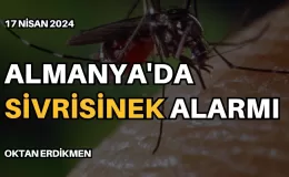 Almanya’da sivrisinek alarmı