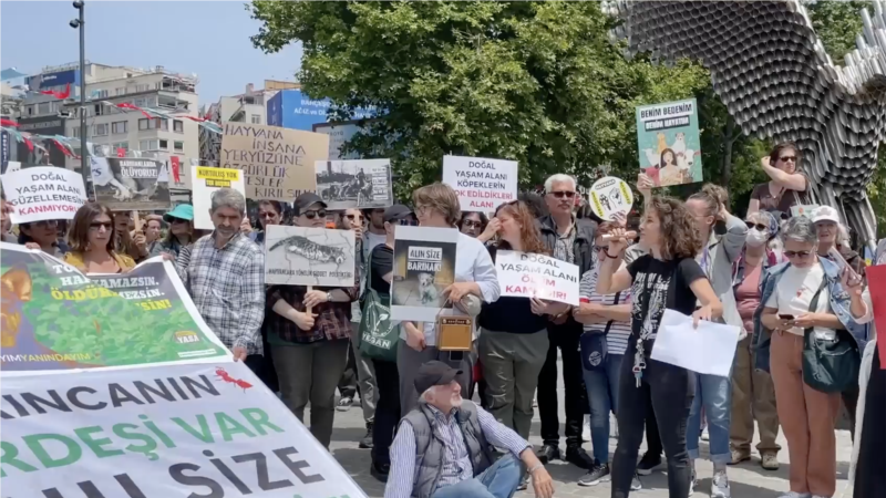 “Hayvanları hedef gösteremezsiniz” 