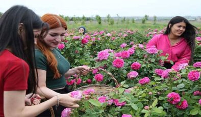 Osmanlı’nın gül bahçesi Edirne’de yine her yerde güller açacak