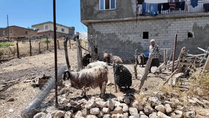 Diyarbakır ve Mardin’de yangın nedeniyle afet bölgesi ilan edilen köyler yardımları yetersiz buldu