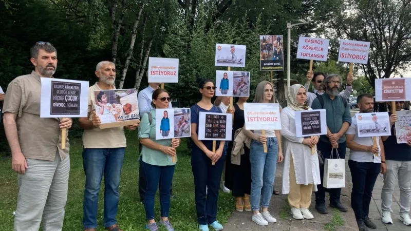 TBMM’ye “sahipsiz sokak hayvanları” için çözüm talebi