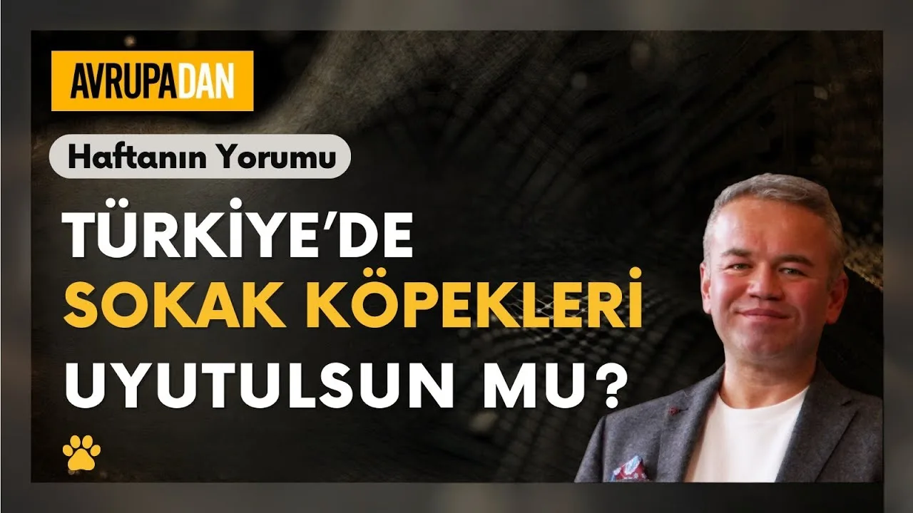 Türkiye’de sokak köpekleri uyutulsun mu?