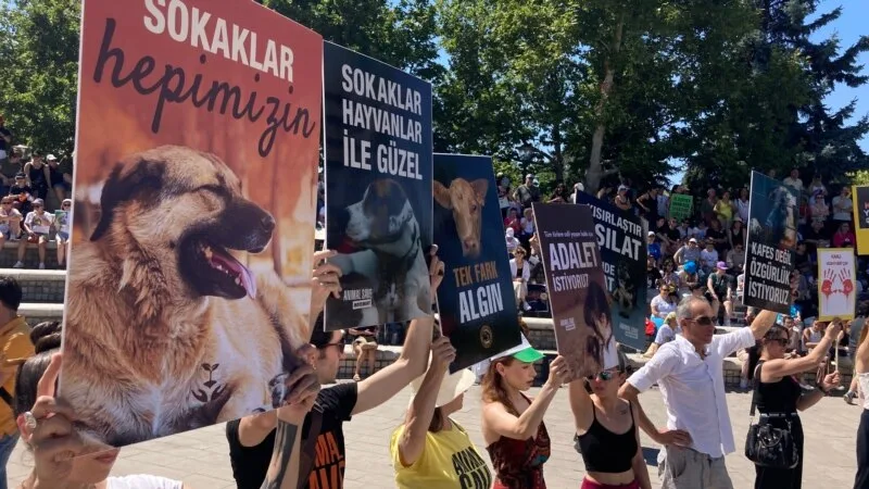 Hayvan hakları savunucuları Anıtpark’ta aralıksız eyleme başladı