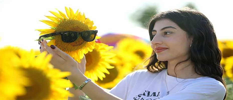 Trakya’da gündöndü tarlaları agro turizmine katkı sunuyor
