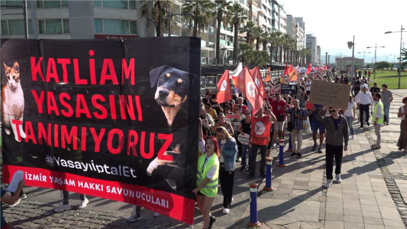 “Her gün toplama ve şiddet ihbarları geliyor”