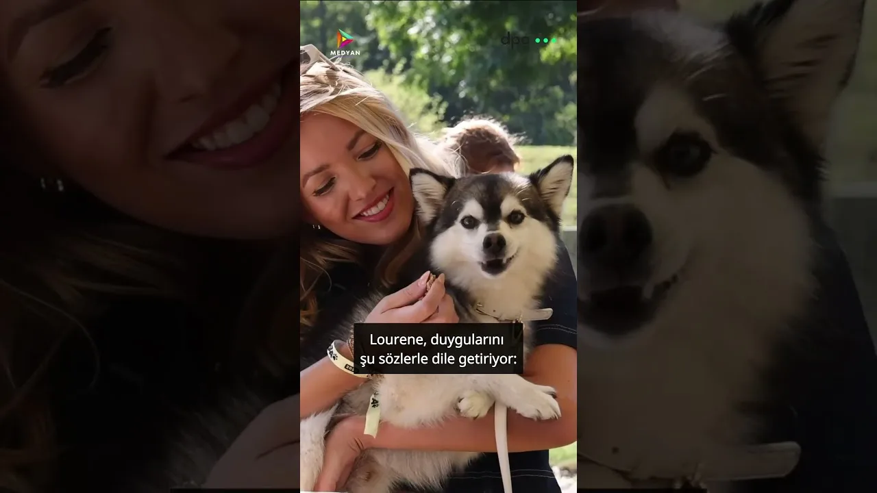 Almanya’da köpek olasım geldi