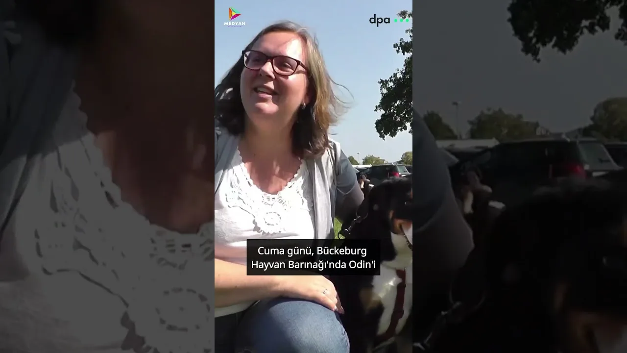 Almanya’da köpeklerle ”Speed Dating”