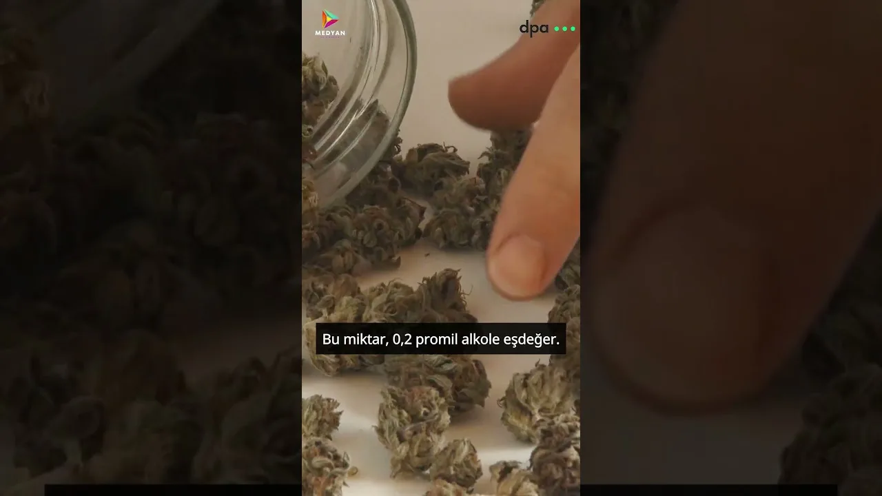 Esrar içip araba kullananlara yeni cezalar