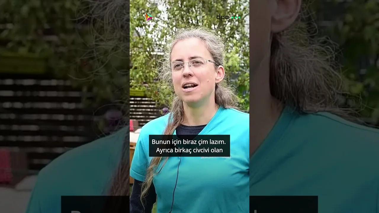Almanya’da tavuk kiralamak mümkün