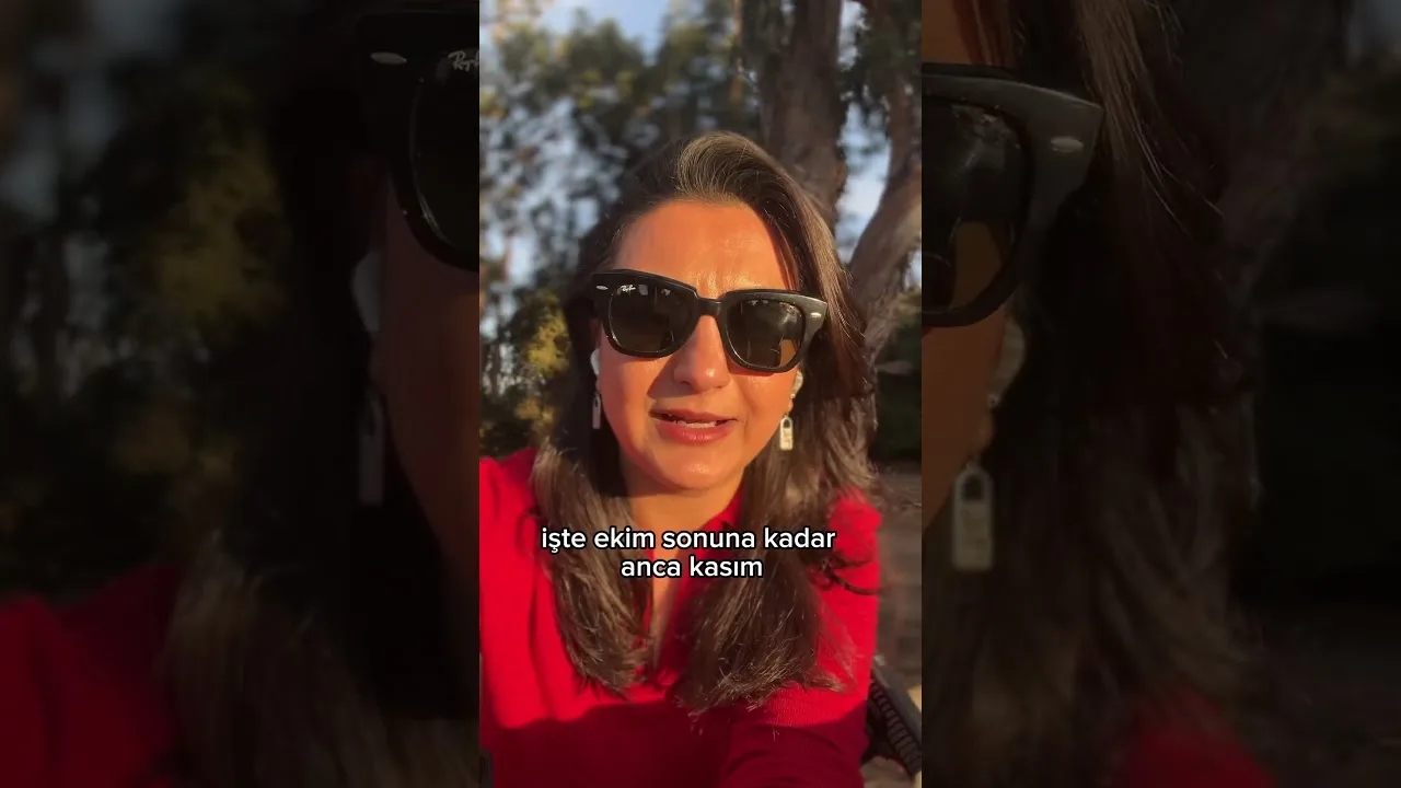 ABD`de seçimler neden hafta içi yapılıyor?