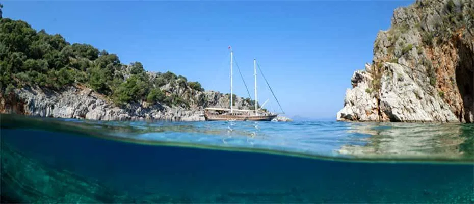 Dört mevsim dalış imkanı sunan Fethiye’nin su altı güzellikleri görüntülendi