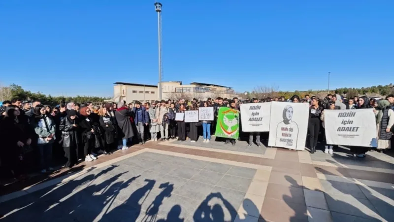 Van Gölü’nde cesedi bulunan Diyarbakırlı üniversite öğrencisi Rojin Kabaiş için adalet çağrısı