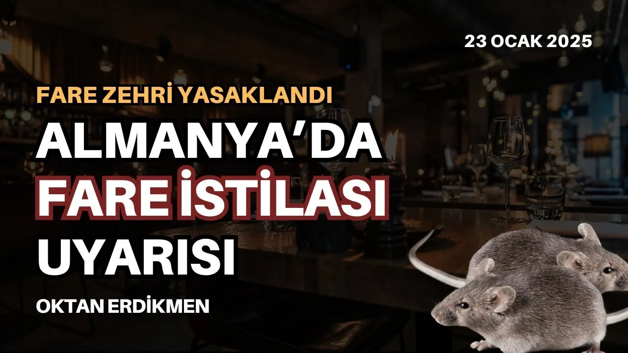 Almanya’da fare istilası uyarısı