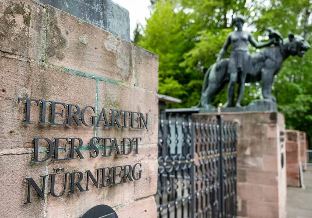 Nürnberg Hayvanat bahçesi kuş gribi nedeniyle kapandı