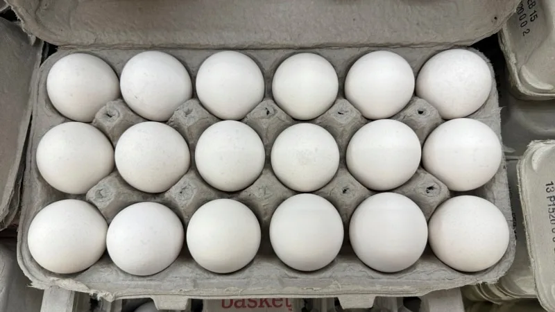 Polis çalınan 100 bin yumurtayı arıyor