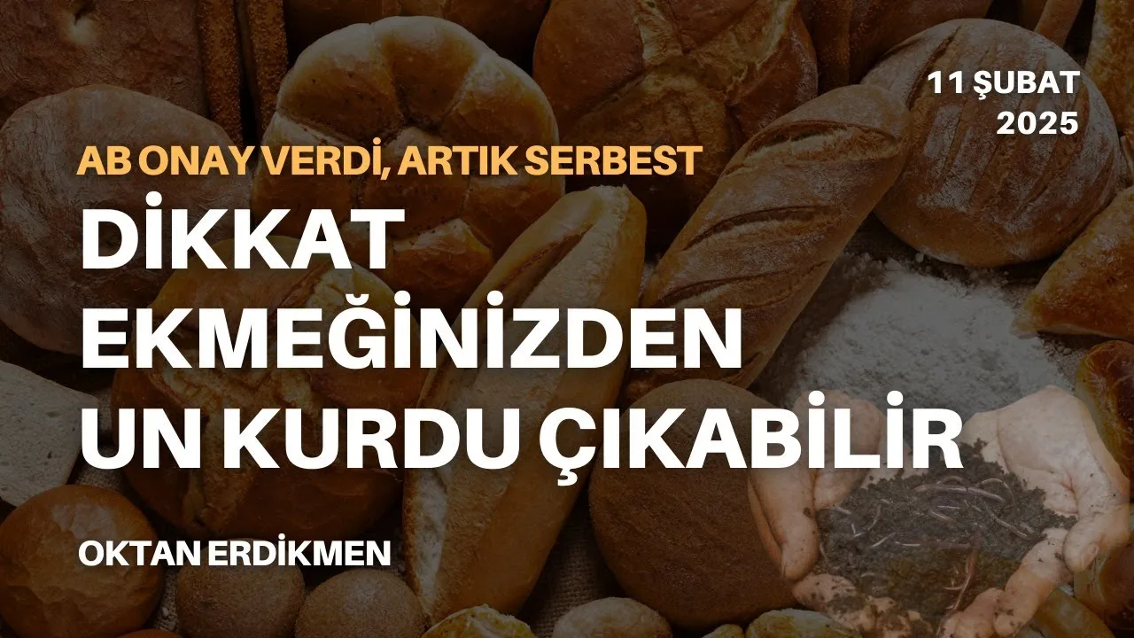 Avrupa’da ekmekte un kurdu devri